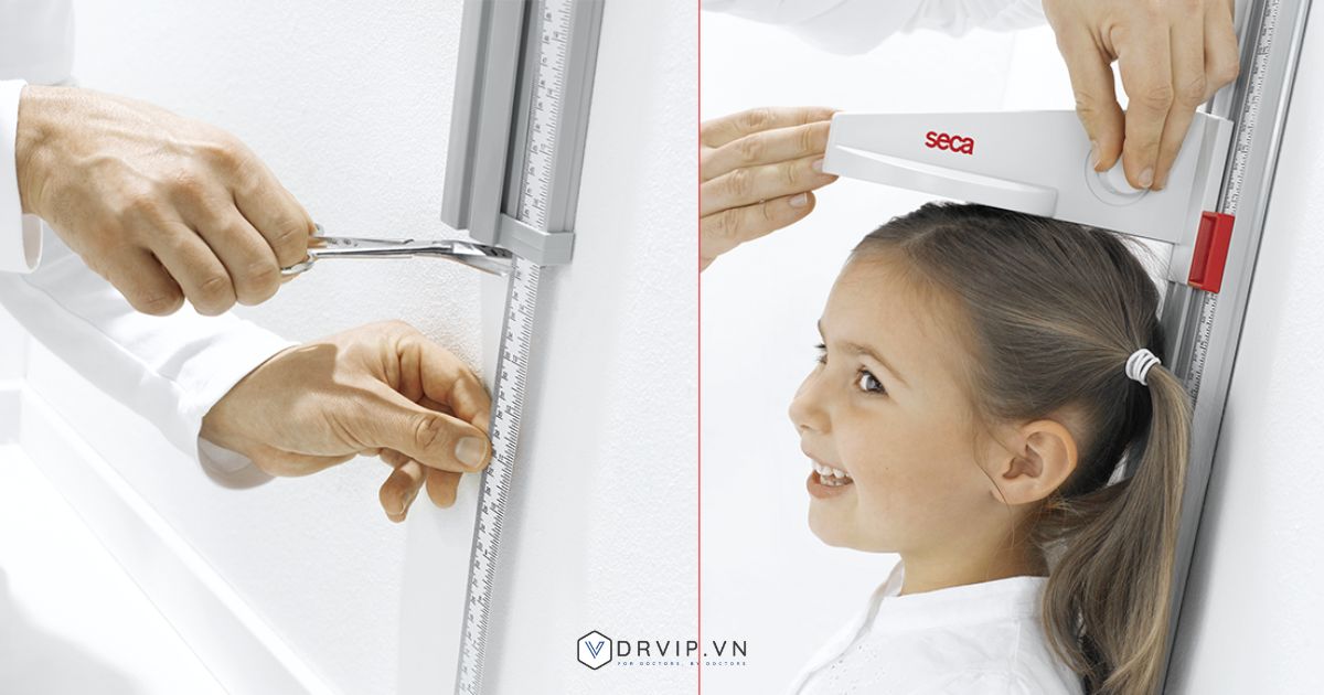 Thước đo chiều cao đứng Seca 216