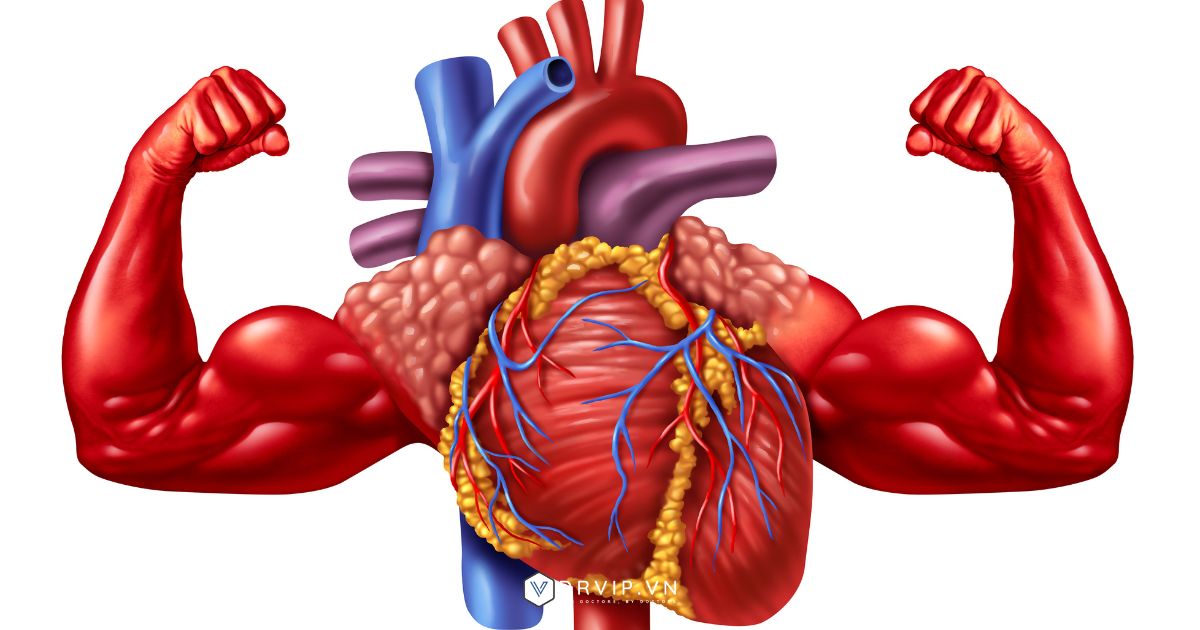 Kết quả đo huyết áp bình thường