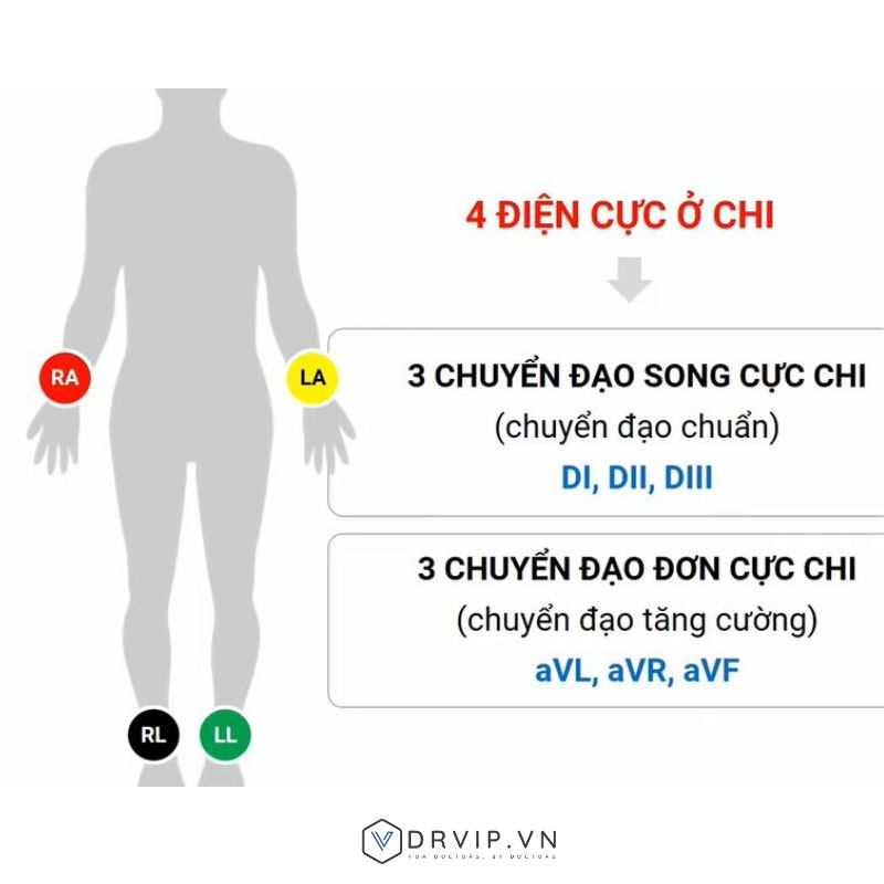chuyen-dao-ngoai-bien