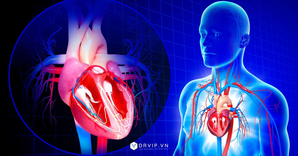 Cơ quan đích của tăng huyết áp