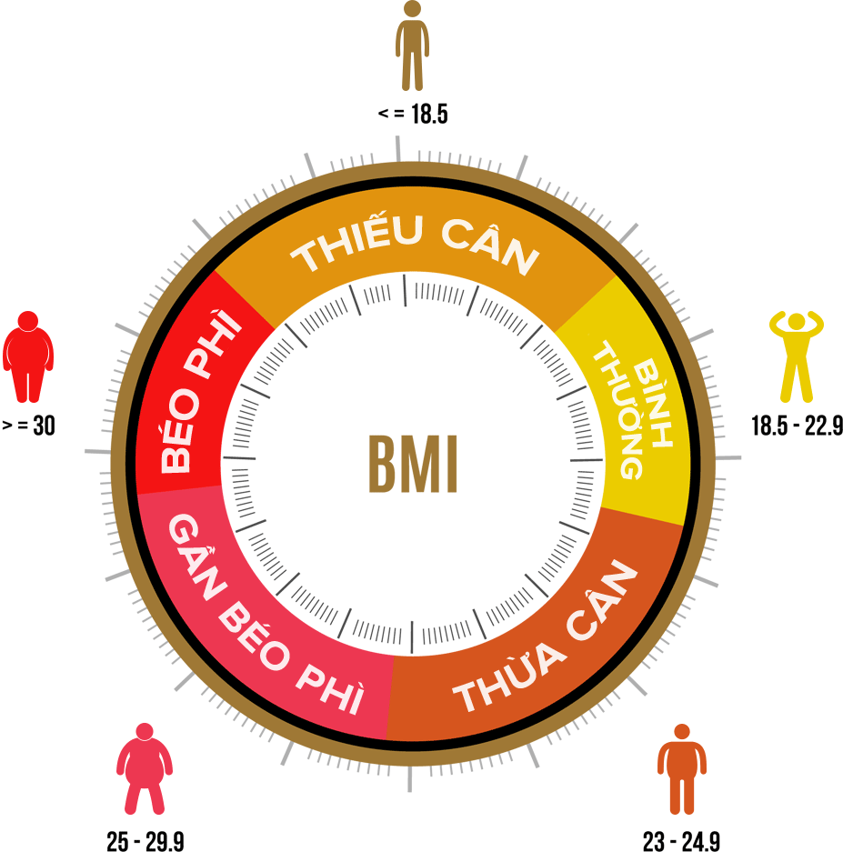 Bieu-do-BMI