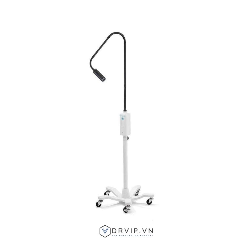 GS Exam Light IV