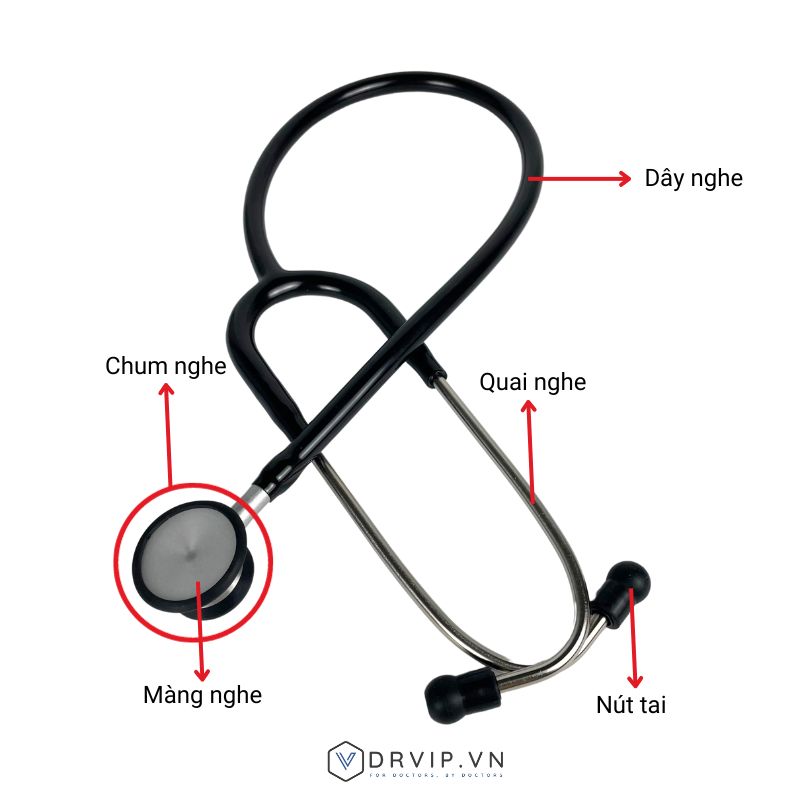Cau-tao-ong-nghe-nhi-khoa