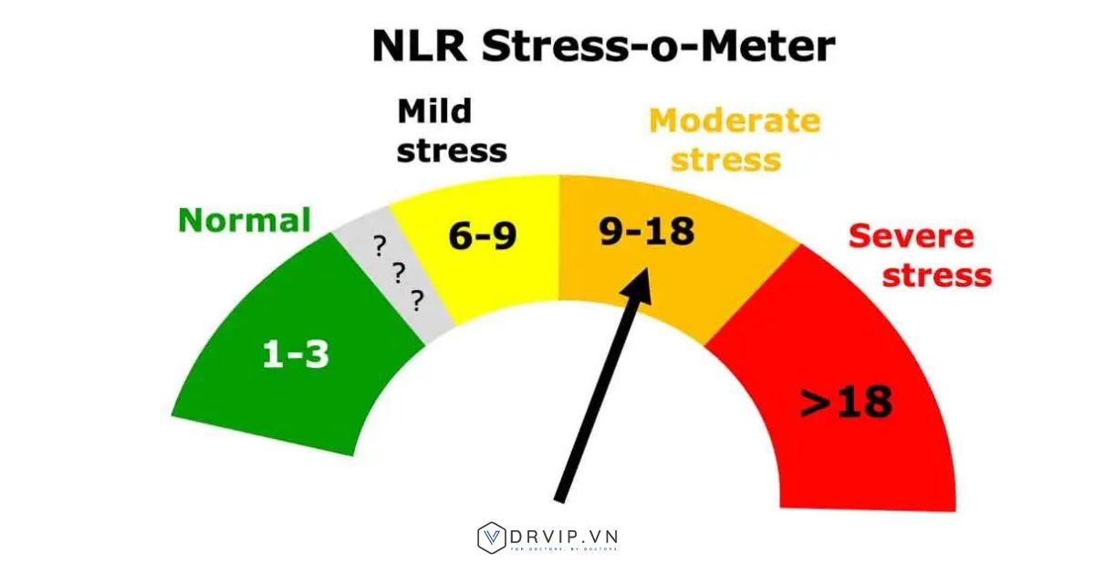 NLR