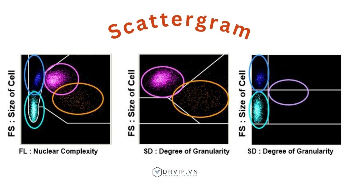 Bieu-do-tan-xa-scattergram