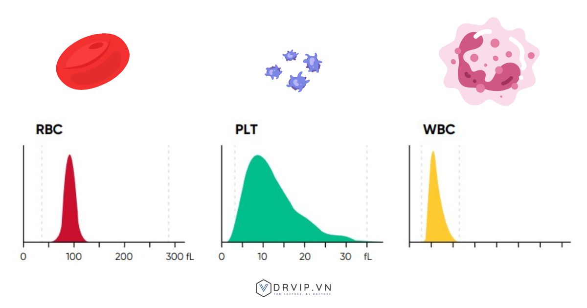 bieu-do-histogram-huyet-hoc