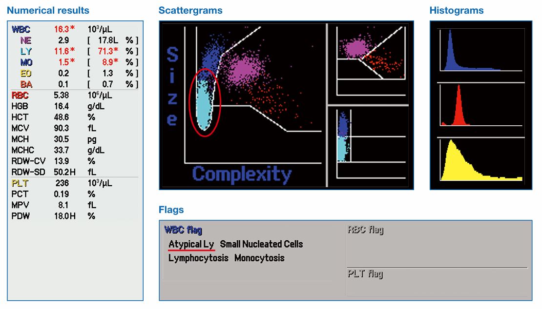 Atypical Ly